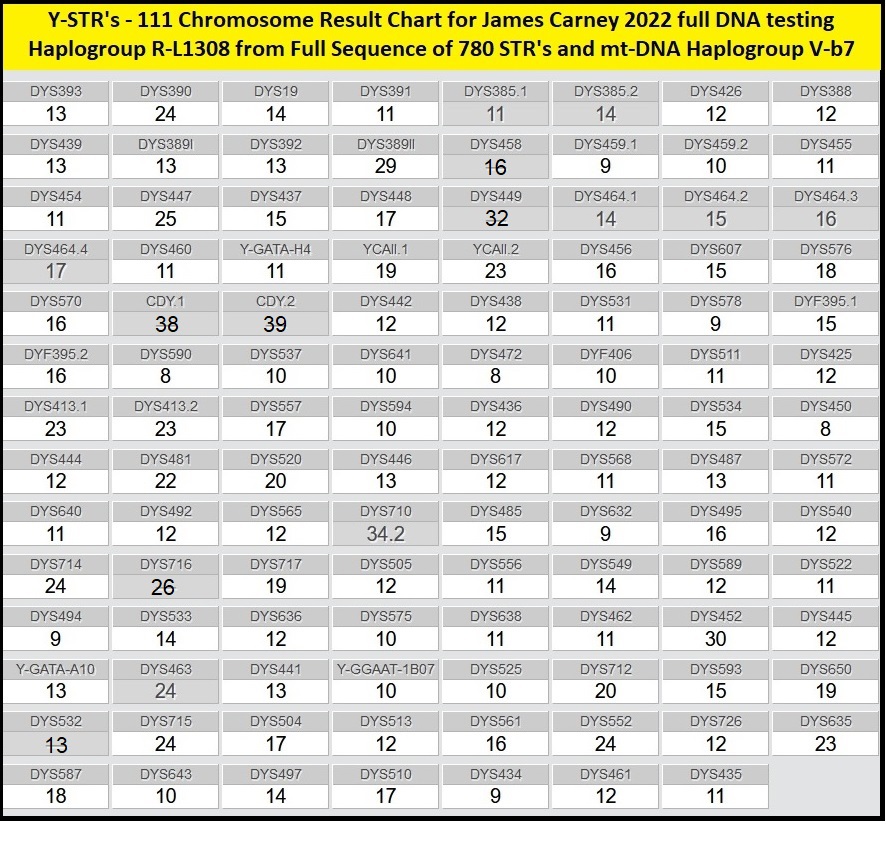 Jims DNA Chart